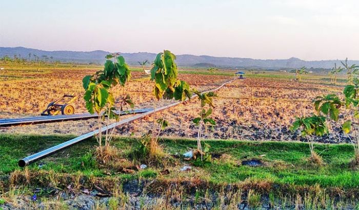 Soal Proyek Pipanisasi, Camat Senori Minta Pelaku Usaha Pengolahan Gas Alam Komunikatif dengan Warga Soal Proyek Pipanisasi, Camat Senori Minta Pelaku Usaha Pengolahan Gas Alam Komunikatif dengan Warga