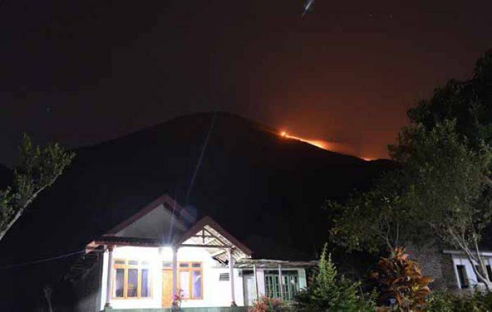 Kebakaran Gunung Penanggungan, Nasib 3 Pendaki Belum Jelas Kebakaran Gunung Penanggungan, Nasib 3 Pendaki Belum Jelas