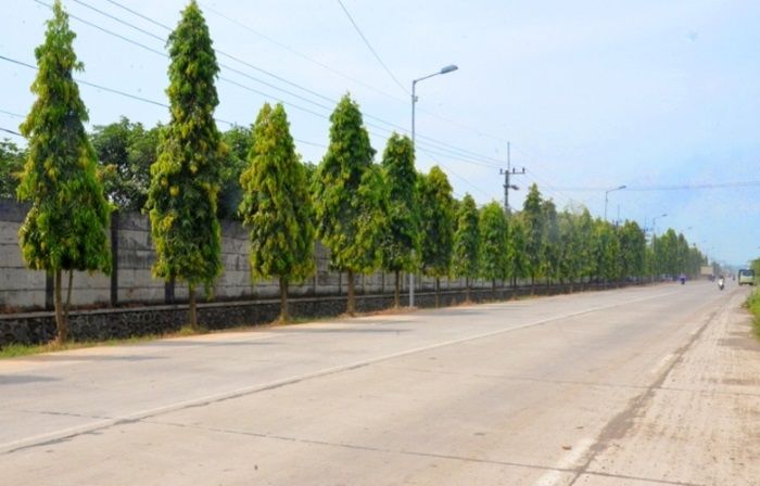 Rasakan Manfaat Jalanan Mulus, Warga Utara Sungai Mantab Coblos Ikbar di Pilbup Mojokerto Rasakan Manfaat Jalanan Mulus, Warga Utara Sungai Mantab Coblos Ikbar di Pilbup Mojokerto