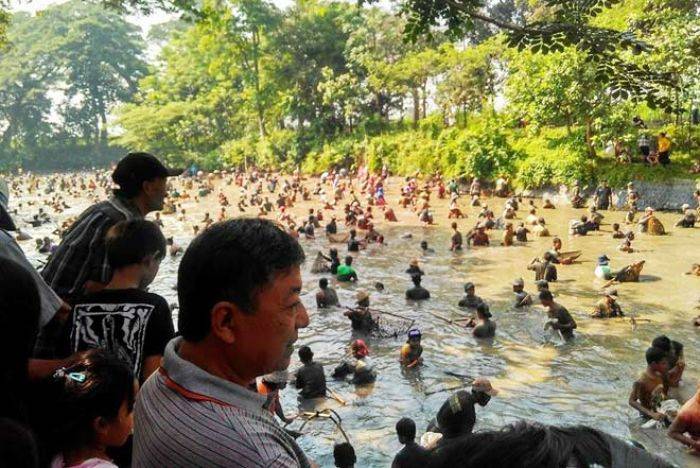 Ramainya Tradisi Grobyak Ikan di Sumber Gundi Kediri Ramainya Tradisi Grobyak Ikan di Sumber Gundi Kediri