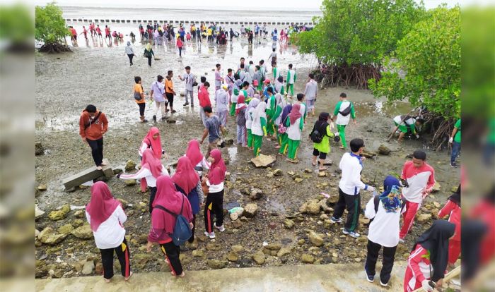 Peringati HPN ke-74, Forum Wartawan Pamekasan Gelar Penanaman Mangrove di Pantai Tlanakan