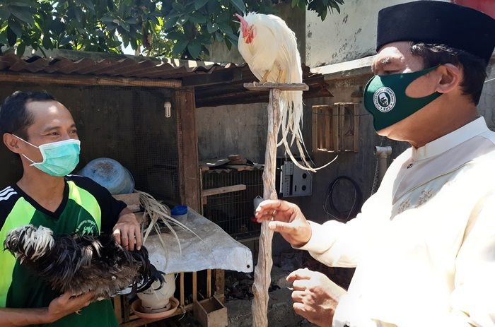 Punya Prospektif Tinggi, BHS Bakal Kembangkan Peternakan Ayam Hias Punya Prospektif Tinggi, BHS Bakal Kembangkan Peternakan Ayam Hias