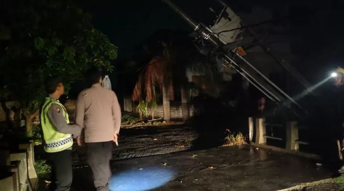 Puting Beliung Terjang Lamongan, Tiang Listrik Nyaris Roboh dan Pohon Tumbang