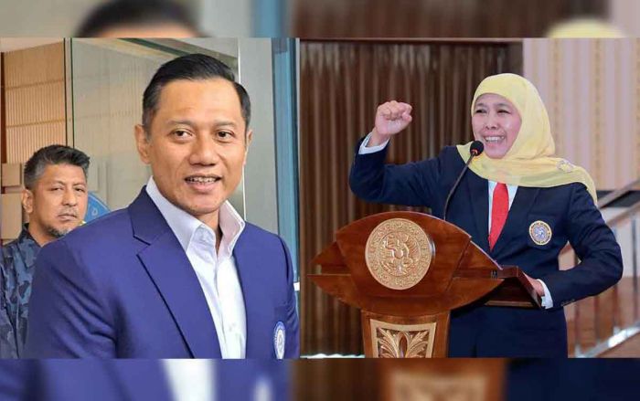 Buat Andi Arief, Beda Kelas! AHY Ingin Jadi Cawapres Anies, Khofifah Justru Buat Andi Arief, Beda Kelas! AHY Ingin Jadi Cawapres Anies, Khofifah Justru