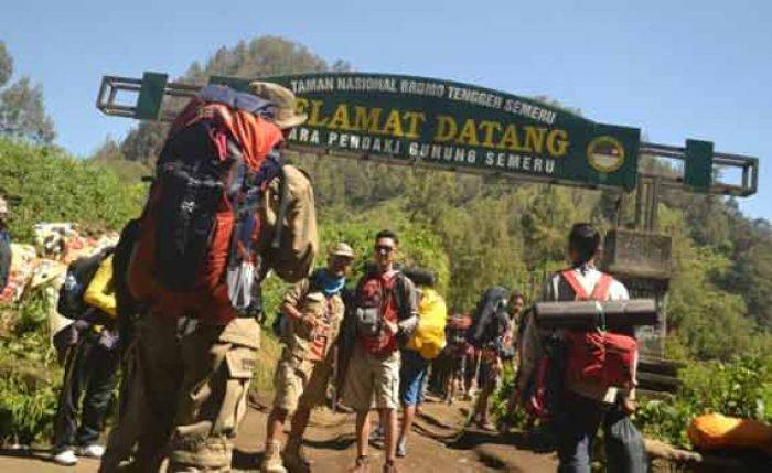 Pasca Kebakaran dan Longsor, Pendakian Semeru kembali Dibuka