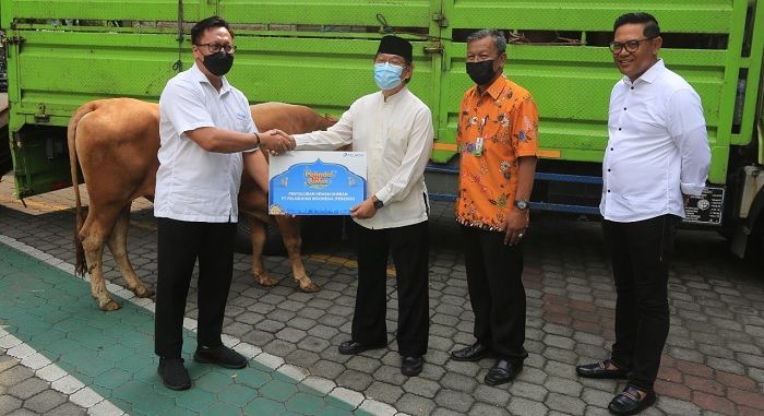 Pelindo Regional 3 Salurkan 86 Sapi dan 13 Kambing Kurban Pelindo Regional 3 Salurkan 86 Sapi dan 13 Kambing Kurban
