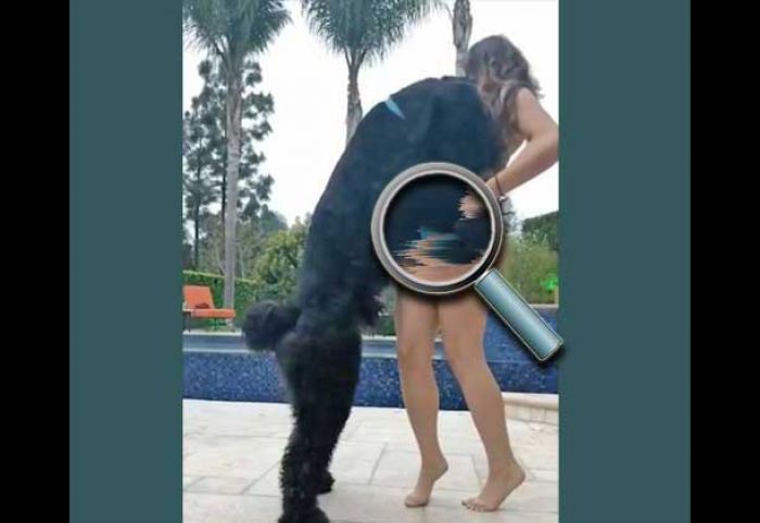Model di Instagram Digugat Gara-gara Diduga Merangsang dan Memasturbasi Kelamin Anjing Model di Instagram Digugat Gara-gara Diduga Merangsang dan Memasturbasi Kelamin Anjing