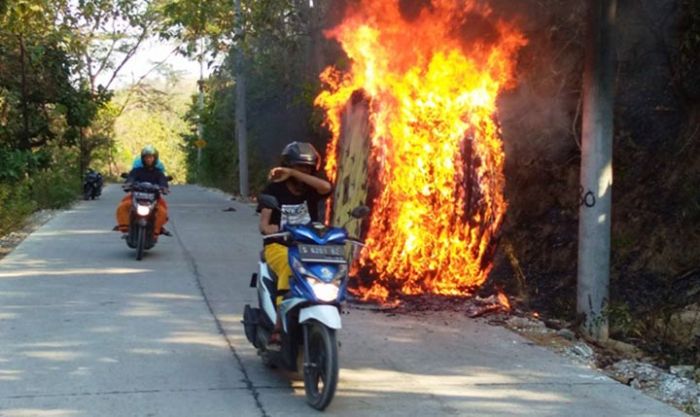 ​Hutan di Perbatasan Tuban-Bojonegoro Terbakar, 1 Gulung Kabel Listrik Ludes