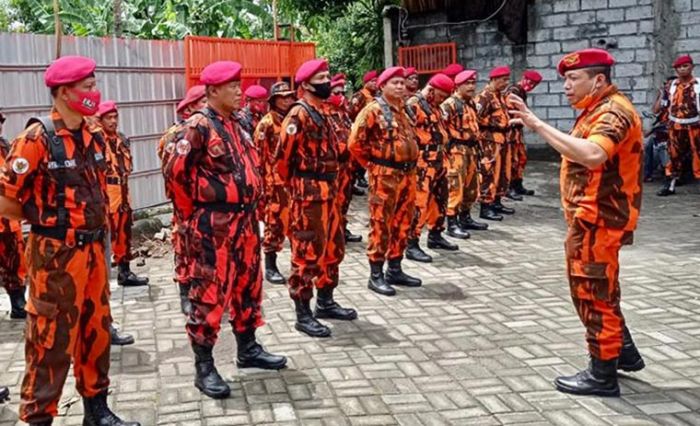 Amankan Pilkada Surabaya, Koti Mahatidana Pemuda Pancasila Turunkan 500 Personel Amankan Pilkada Surabaya, Koti Mahatidana Pemuda Pancasila Turunkan 500 Personel