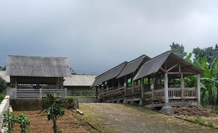 Pemkab Pasuruan Matangkan Transformasi UPA Jadi Arjuno Agro Technopark