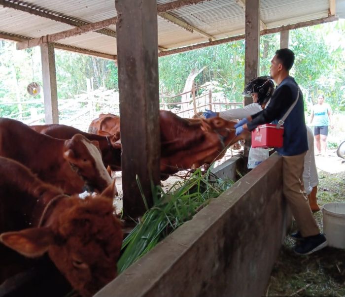 Nihil Kasus PMK, Pemkot Kediri Tetap Berkomitmen Gencarkan Vaksinasi Hewan Nihil Kasus PMK, Pemkot Kediri Tetap Berkomitmen Gencarkan Vaksinasi Hewan