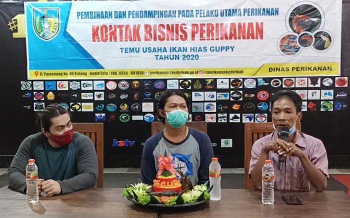 Seguri Gelar Kontes Ikan Guppy Seguri Gelar Kontes Ikan Guppy