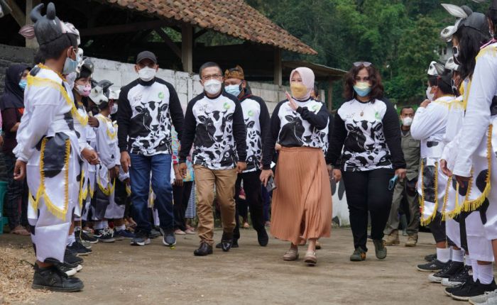 Festival Susu Sapi Brau 2021, Mantapkan Dusun Brau Sebagai Ikon Kota Wisata Batu Festival Susu Sapi Brau 2021, Mantapkan Dusun Brau Sebagai Ikon Kota Wisata Batu