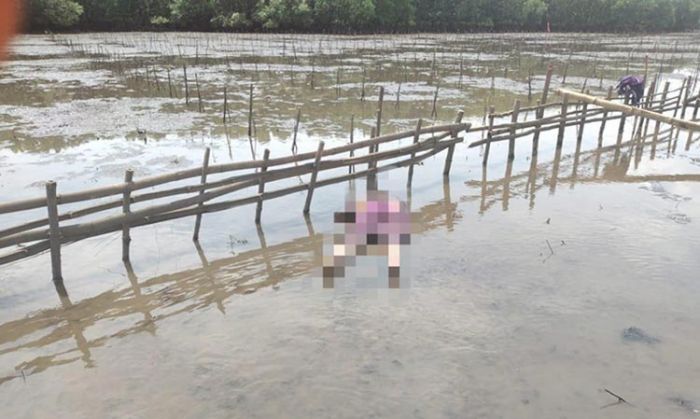 Hendak Melaut, Nelayan di Probolinggo Temukan Seorang Nenek Tewas di Pesisir Pantai Hendak Melaut, Nelayan di Probolinggo Temukan Seorang Nenek Tewas di Pesisir Pantai