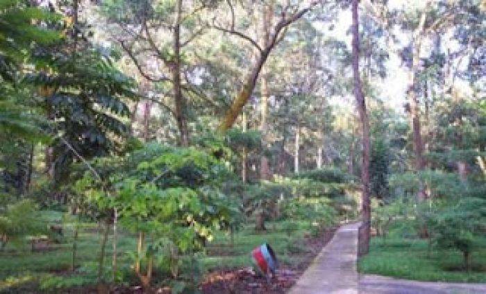 Akses ke Hutan Kota Surabaya Sulit Dijangkau Akses ke Hutan Kota Surabaya Sulit Dijangkau