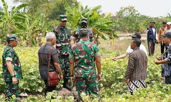 Jelang Kunjungan KSAD, Danrem 084/BJ Lakukan Peninjauan Jelang Kunjungan KSAD, Danrem 084/BJ Lakukan Peninjauan