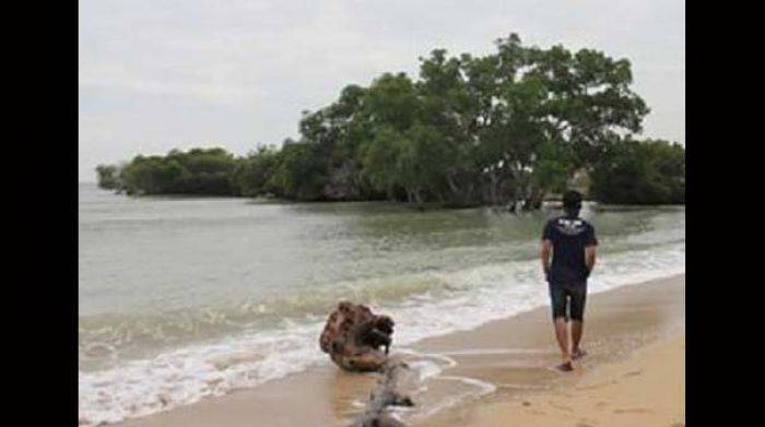 Menikmati Indahnya Pantai Kutang Lamongan Menikmati Indahnya Pantai Kutang Lamongan
