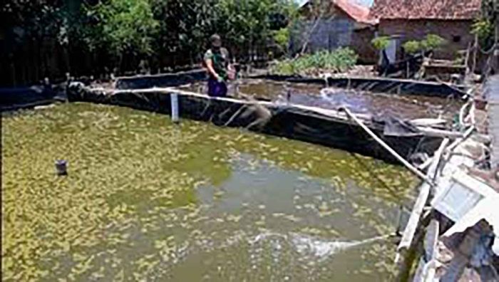 DKP Jatim Gelar Bimtek di Kota Probolinggo DKP Jatim Gelar Bimtek di Kota Probolinggo