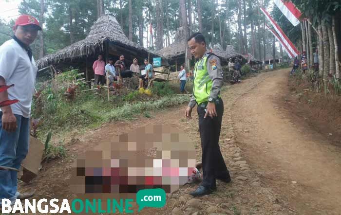 Kuda Sewaan Wisata Hutan Pinus Gogoniti Seret Wisatawan Asal Malang Hingga Tewas Kuda Sewaan Wisata Hutan Pinus Gogoniti Seret Wisatawan Asal Malang Hingga Tewas