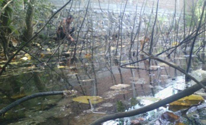 Tercemar Limbah Industri, Warga Sekitar Migas Bojonegoro Resah