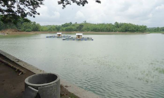 Oktober, Persediaan Air Waduk di Mojokerto Diprediksi Habis