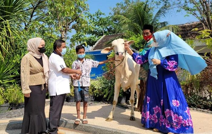 Politikus Demokrat Bagikan 4 Sapi untuk Keluarga Terdampak Covid-19 di Gresik