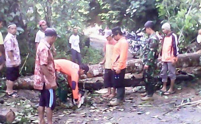 Hujan Semalaman, 10 Titik Tebing di Pule Trenggalek Longsor Hujan Semalaman, 10 Titik Tebing di Pule Trenggalek Longsor