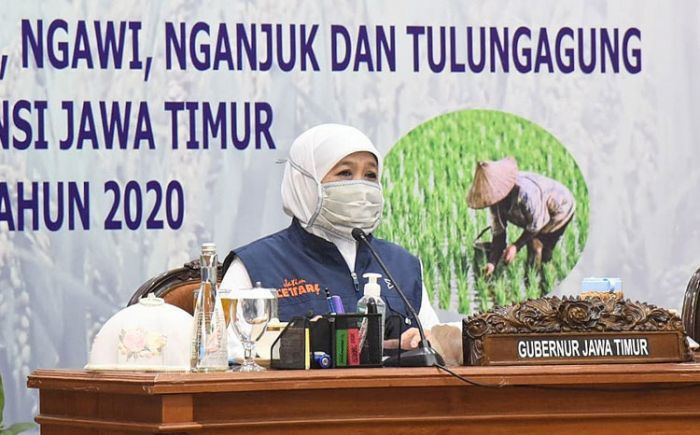 Gubernur Khofifah Minta Kabupaten se-Jatim Bersiap Hadapi Waktu Tanam di Tengah Musim Kemarau Gubernur Khofifah Minta Kabupaten se-Jatim Bersiap Hadapi Waktu Tanam di Tengah Musim Kemarau
