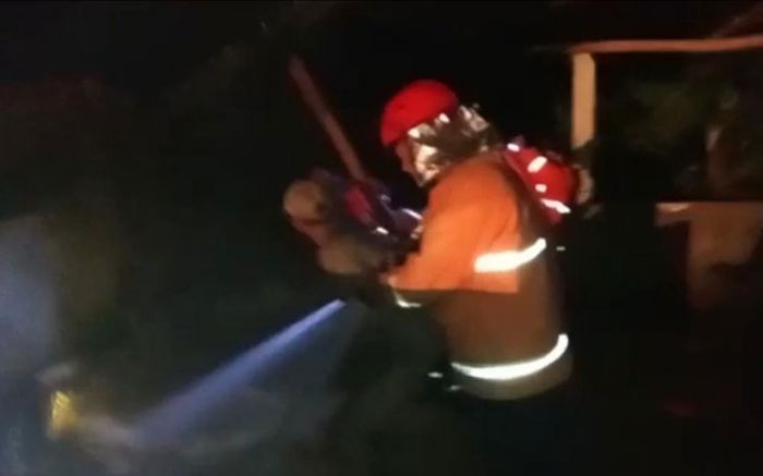 Tempat Oven Padi di Tuban Terbakar, 12 Ton Gabah Hangus Tempat Oven Padi di Tuban Terbakar, 12 Ton Gabah Hangus