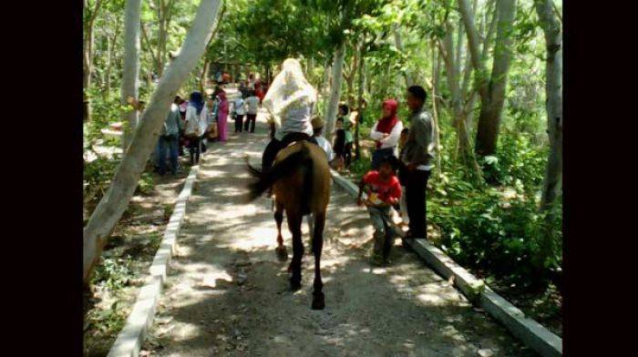 Hutan Kota Trenggalek Mulai Jadi Tujuan Wisata, Pengunjung Nikmati Panorama Alam Sambil Berkuda Hutan Kota Trenggalek Mulai Jadi Tujuan Wisata, Pengunjung Nikmati Panorama Alam Sambil Berkuda