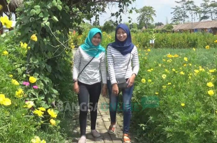 Ada Wisata Tanaman di Desa Banjarsari Jombang, Cocok untuk Hunting Foto Ada Wisata Tanaman di Desa Banjarsari Jombang, Cocok untuk Hunting Foto