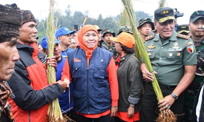 50 Ribu Rumput Vertiver Disebar di Ranupani Lumajang 50 Ribu Rumput Vertiver Disebar di Ranupani Lumajang
