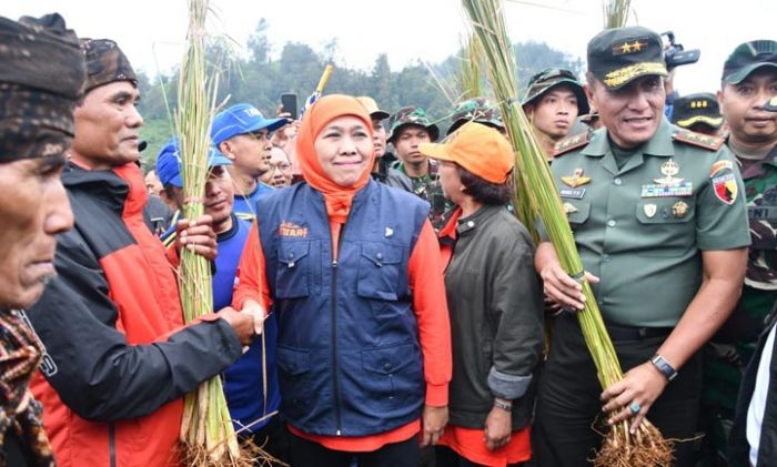 50 Ribu Rumput Vertiver Disebar di Ranupani Lumajang