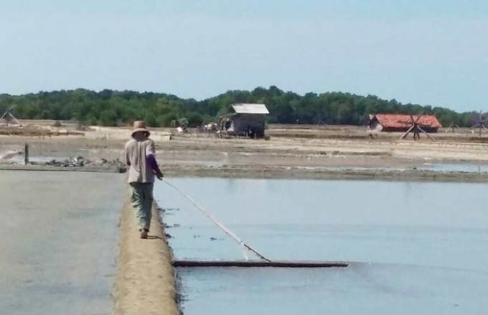 Petani di Pamekasan Tak Khawatirkan Garam Impor