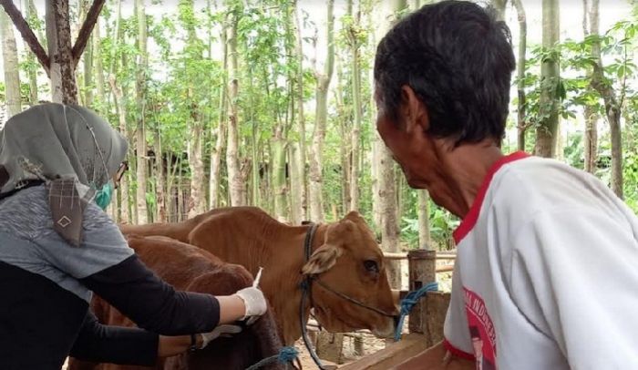 Antisipasi Wabah Antraks, Pemkab Blitar Terbitkan Surat Edaran Antisipasi Wabah Antraks, Pemkab Blitar Terbitkan Surat Edaran