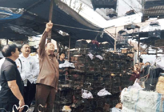 Tanggapi Keluhan Pedagang, Disperindag akan Renovasi Pasar Burung Empunala Tanggapi Keluhan Pedagang, Disperindag akan Renovasi Pasar Burung Empunala