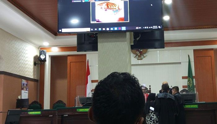 PN Sidoarjo Kembali Gelar Sidang Kasus Kakek yang Masuki Rumahnya Sendiri PN Sidoarjo Kembali Gelar Sidang Kasus Kakek yang Masuki Rumahnya Sendiri