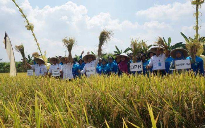 Program SLI untuk Menuju Ketahanan Pangan, Komisi V DPR RI Siap Kawal