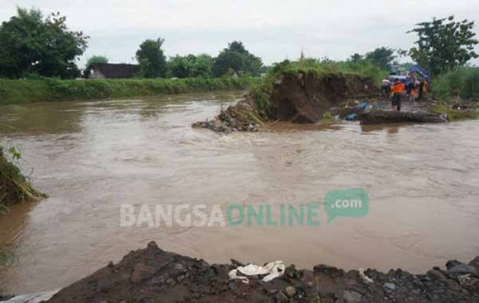 Tanggul Sungai Gunting Jebol, Rumah Warga Terendam Banjir, Jalur Sumobito Tersendat