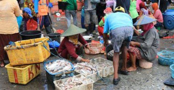 Produksi Perikanan di Lamongan Tetap Naik, Walaupun Tipis Produksi Perikanan di Lamongan Tetap Naik, Walaupun Tipis