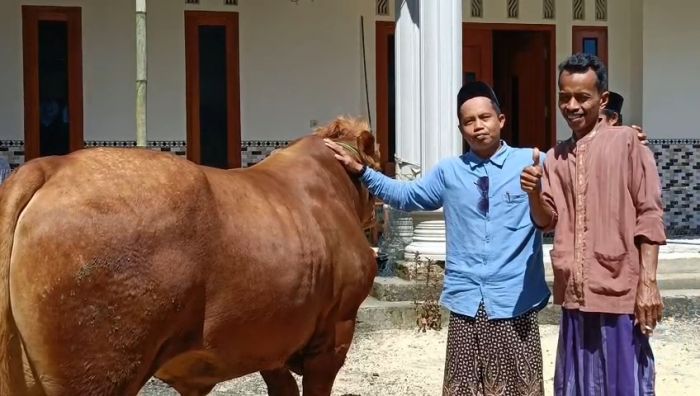 Ekonomi Kolaboratif, 369 Berkah Gaet 350 Peternak Kokop dan Jual 385 Hewan Kurban di Iduladha 1446 H