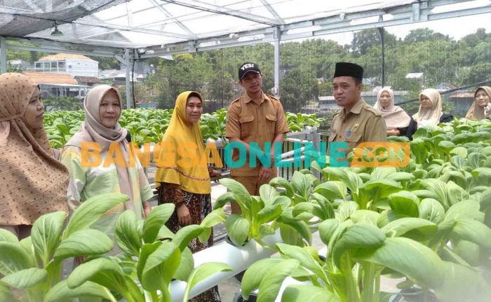 Sentra Hidroponik Pemdes Klangonan Gresik Jadi Jujukan Eduwisata Sentra Hidroponik Pemdes Klangonan Gresik Jadi Jujukan Eduwisata