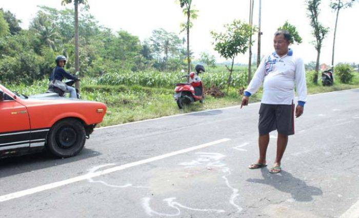 Kecelakaan Maut di Raya Desa Bajang Blitar: Tabrak Truk Tronton, Ibu dan Anak Tewas Seketika Kecelakaan Maut di Raya Desa Bajang Blitar: Tabrak Truk Tronton, Ibu dan Anak Tewas Seketika