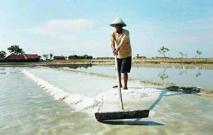 Dua Perusahaan Garam di Sumenep belum Serap Garam Petani Dua Perusahaan Garam di Sumenep belum Serap Garam Petani