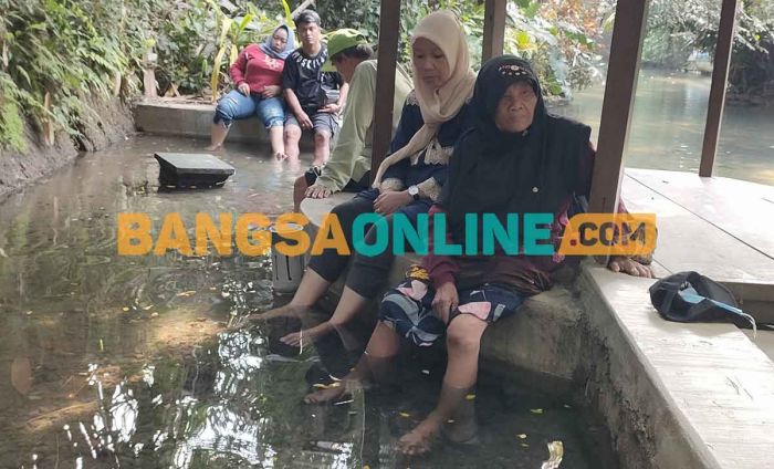 Pengakuan Mbah Koripah, Tiga Kali Terapi Ikan Garra Rufa, Penyakit Linunya Bisa Sembuh