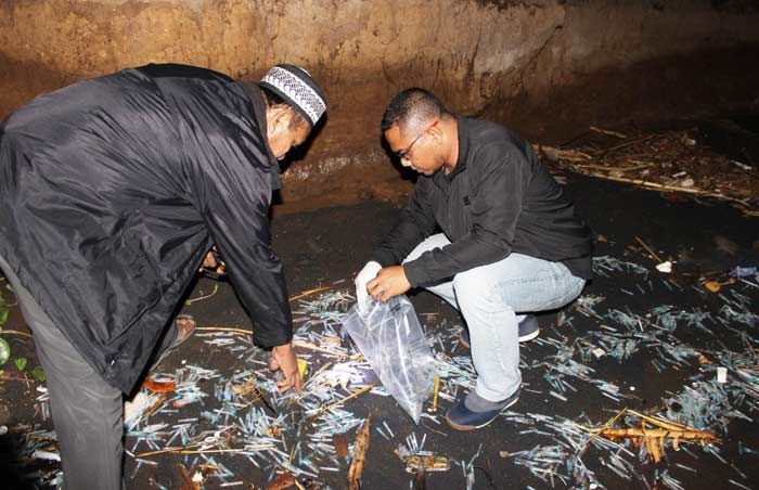 Dinkes Pastikan Ribuan Limbah Medis di Pesisir Tanjung Kamal Bukan dari Situbondo Dinkes Pastikan Ribuan Limbah Medis di Pesisir Tanjung Kamal Bukan dari Situbondo