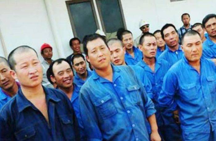41 Ribu Tenaga Kerja Cina Banjiri Indonesia, Wapres Minta Menaker Menyetop 41 Ribu Tenaga Kerja Cina Banjiri Indonesia, Wapres Minta Menaker Menyetop