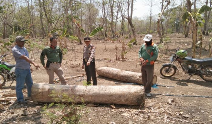 Penjarah Kayu Jati di Ngawi Berhasil Kabur saat Petugas Datang