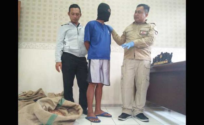 Terbelit Hutang, Mantan Kuli Nekat Curi Ratusan Kilogram Kacang Tanah Terbelit Hutang, Mantan Kuli Nekat Curi Ratusan Kilogram Kacang Tanah