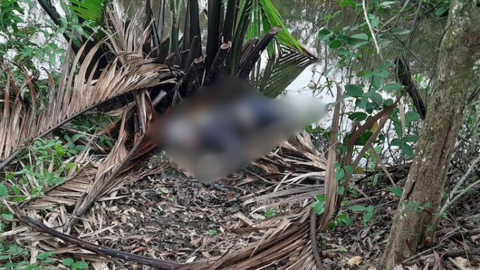 Identitas Mayat di Semak-semak Bangkalan Terungkap, Ini Motif Pelaku Pembunuhan Identitas Mayat di Semak-semak Bangkalan Terungkap, Ini Motif Pelaku Pembunuhan